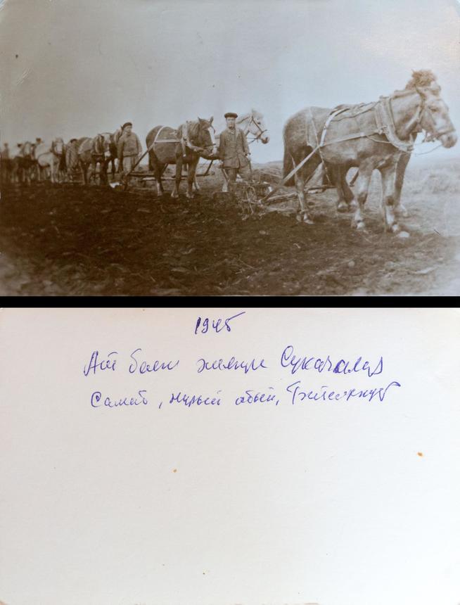 Фото. Колхозники на пахоте, 1945::Личный архив Галиева Файзи Ахметовича g2id4589