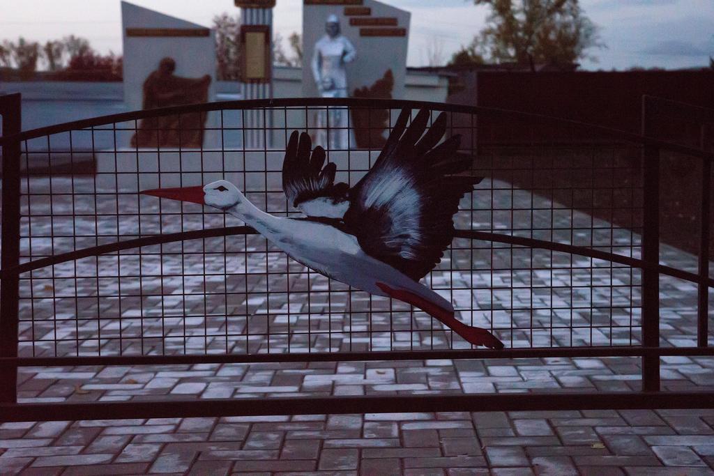 Фото №25774. Tatfrontu.ru Photo archive